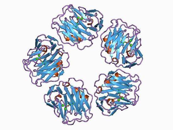 Определение уровня сывороточного C-реактивного белка при агрессивных и хронических формах пародонтитов