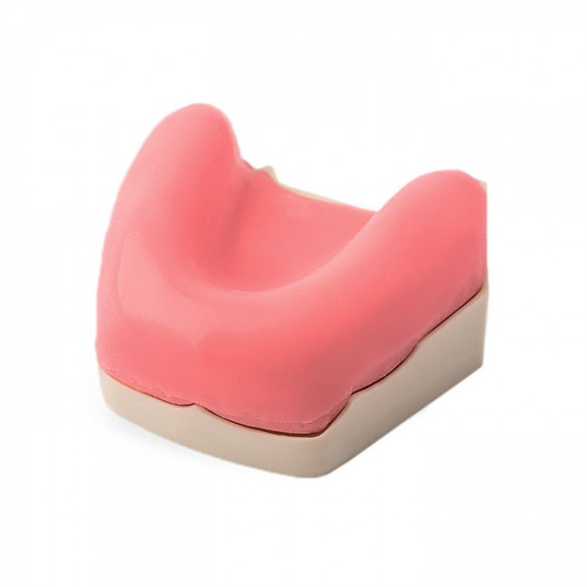 Купить Dentalstore Модель беззубой нижней челюсти для проведения ...