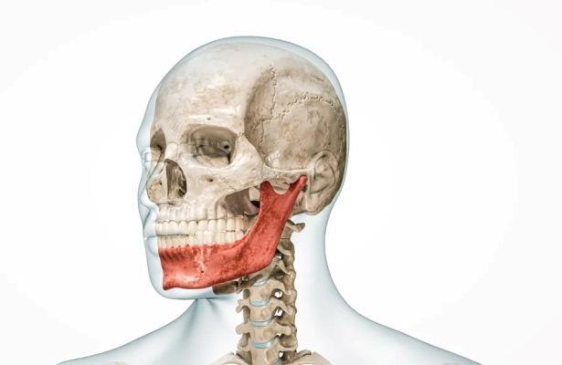 Структура костей нижней челюсти указывает на будущую потерю роста